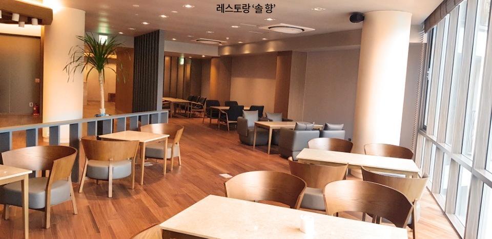 Pine Forest Jeongseon Alpine Resort Exterior photo