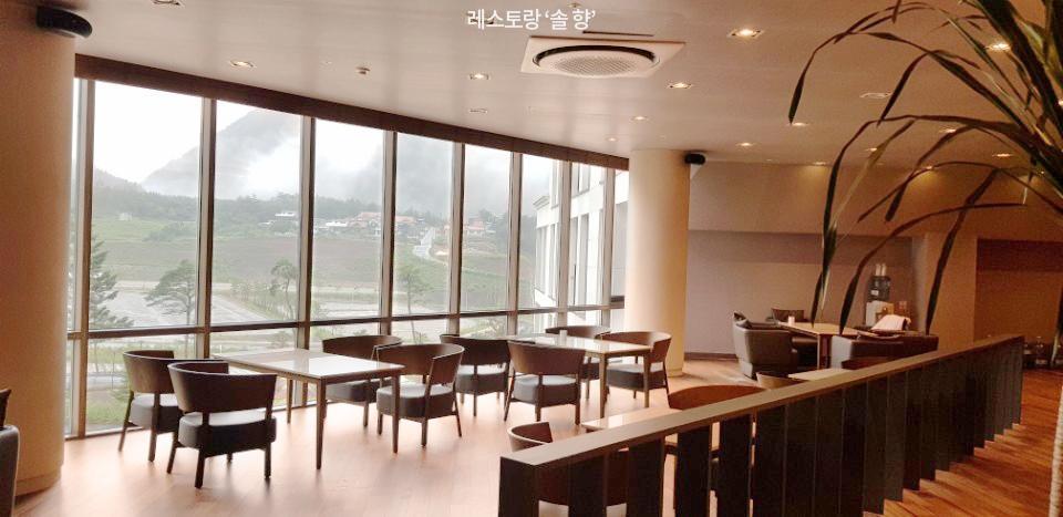 Pine Forest Jeongseon Alpine Resort Exterior photo