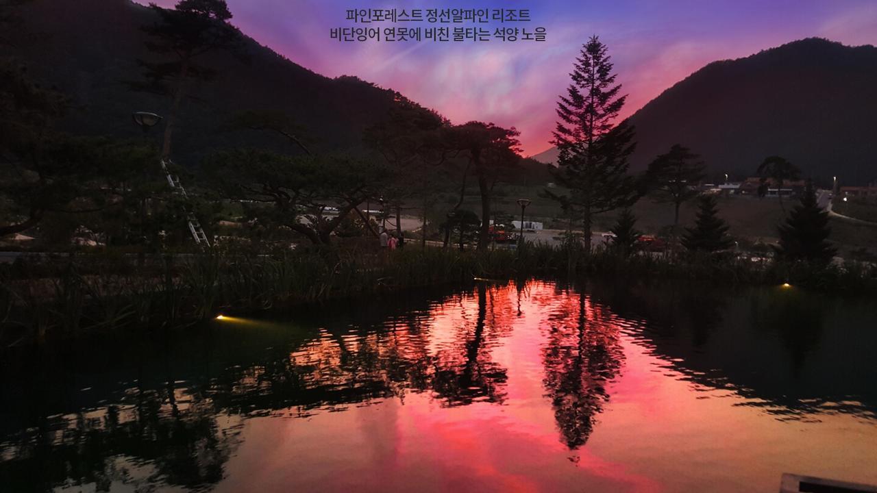 Pine Forest Jeongseon Alpine Resort Exterior photo